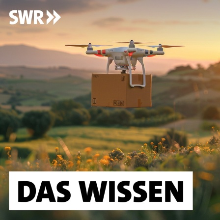 Eine Drohne fliegt mit einem Paket über eine ländliche Region: Drohnen werden vermutlich keine zentrale Rolle spielen, wenn es darum geht, die Alltagslogistik neu zu sortieren. Ein limitierender Faktor in der Drohnen-Logistik ist rein technisch bedingt: Während ein Güterzug locker 1.000 Tonnen Ladung bewegt und ein LKW bis zu 40 Tonnen, können selbst leistungsfähige Drohnen nur Ladung von ein paar Dutzend Kilogramm tragen. Deswegen transportierten sie aktuell vor allem medizinische Güter wie Medikamente oder Blutkonserven in schwer erreichbare Gebiete.