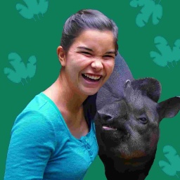 Collage von Anna und einem Tapir | Bild: BR