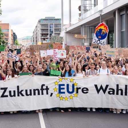 Demo zur EU-Wahl von Fridays for Future