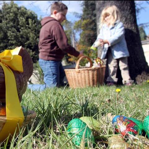 Kinder suchen auf einer Wiese nach Süßigkeiten
