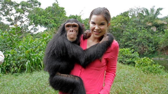 Anna, Paula, Pia Und Die Wilden Tiere - Schlau Wie Die Schimpansen