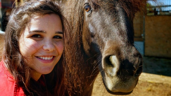 Anna, Pia Und Die Haustiere - Shetlandpony