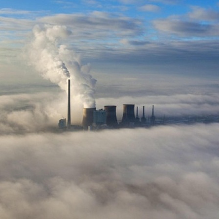 Warme Weihnachten, CO2 unter die Erde, Fischsterben in der Oder, Durchsichtige Glasfrösche