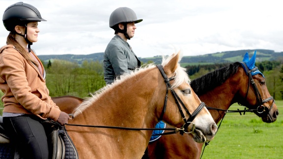 Tiere Bis Unters Dach - Nichts Geht Mehr (s10/e12)