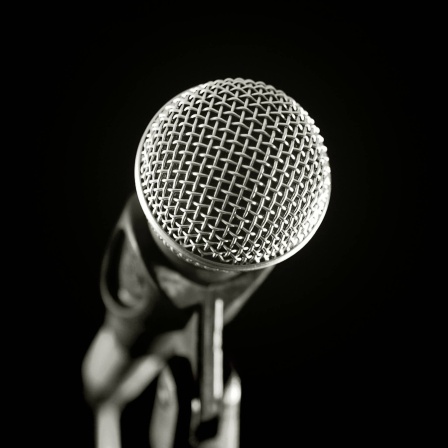 Mikrofon: Ohne Mikrofone gäbe es kein Radio, keine Musikaufzeichnungen, kein Telefon