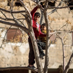 Kinder spielen in einem Baum in der Stadt Harasta, die während des Krieges zwischen Oppositionskräften und dem Assad-Regime heftig umkämpft war, am Stadtrand von Damaskus (Syrien).