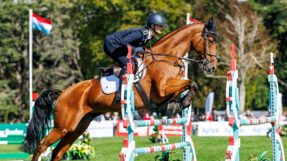 Sportschau - Deutsche Reiter Holen Em-gold - Jung Silber Im Einzel