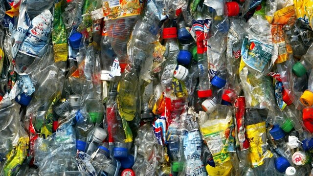 Plastikmüll aus PET Flaschen | Bild: picture-alliance/ZB