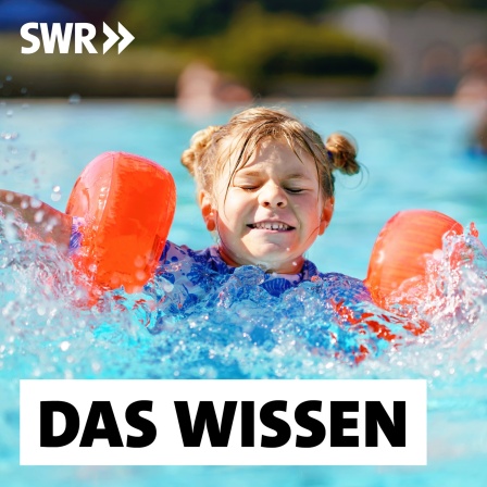 Kleines Mädchen mit Schwimmflügeln planscht im Pool: In den letzten Jahren steigt die Zahl der Grundschüler, die nicht schwimmen können. Die Gründe sind vielfältig: geschlossene Bäder während der Corona-Pandemie, zu wenige Schwimmlehrer und fehlende und marode Schwimmbäder. Warum ist guter Schwimmunterricht wichtig?
