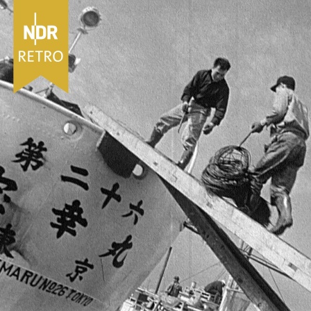 Im japanischen Fischereihafen Miura, 1958.