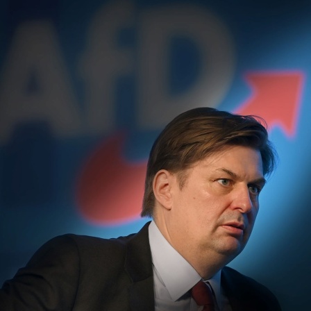 Maximilian Krah (AfD), Spitzenkandidat der AfD für die Europawahl.