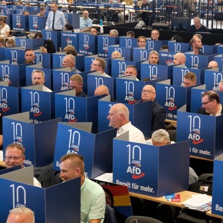 Delegierte geben hinter Wahlkabinen ihre Stimmen für den Listenplätze für die Europawahl der AfD auf der Europawahlversammlung in der Messe Magdeburg ab.