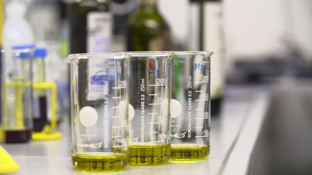 Behälter mit Olivenöl zum Testen im Labor | Bild: BR