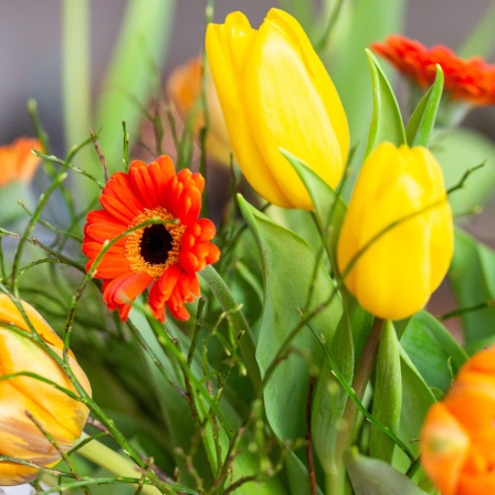 Blumen in Vase