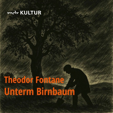Sendereihen-Cover "Unterm Birnbaum", Lesezeit Theodor Fontane