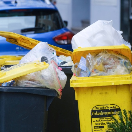 Volle Verpackungsmüll-Tonnen