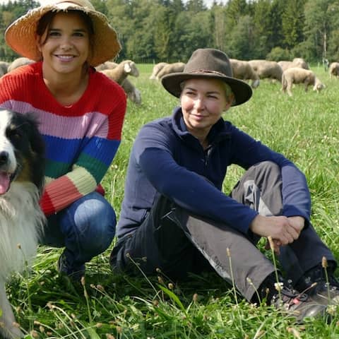 Border Collie Simo ist der wichtigste Helfer in Elkes Schäferei. | Bild: BR/Text und Bild Medienproduktion GmbH & Co. KG