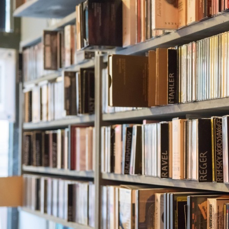Regale voll mit Schallplatten als Symbol für physische Tonträger