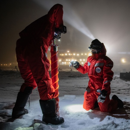 Expedition Arktis: Im September 2019 macht sich der deutsche Eisbrecher "Polarstern" auf den Weg und driftet eingefroren für ein Jahr durch die Eiswüste nahe des Nordpols.