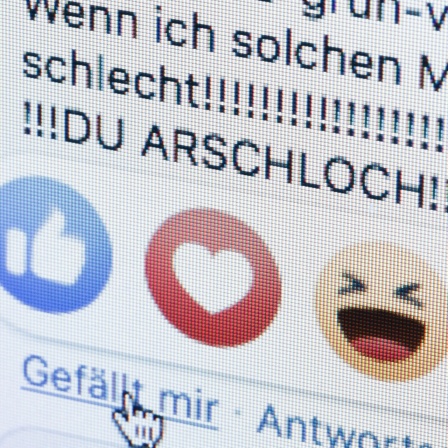 Hass im Netzt