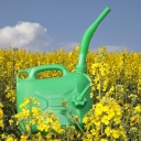 Ein Kanister mit Biokraftstoff steht in einem Feld in Bayern.
