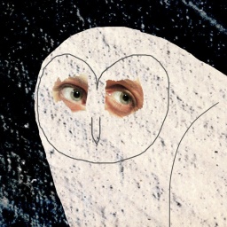 Collage: Eule mit menschlichen Augen. 
