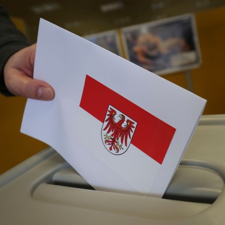 Ein Stimmzettel mit dem Wappen von Brandenburg wird in eine Urne geworfen.