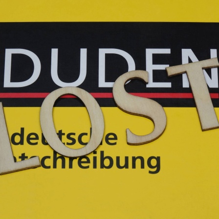 Dudenauszug mit dem Schriftzug &#034;Lost&#034;