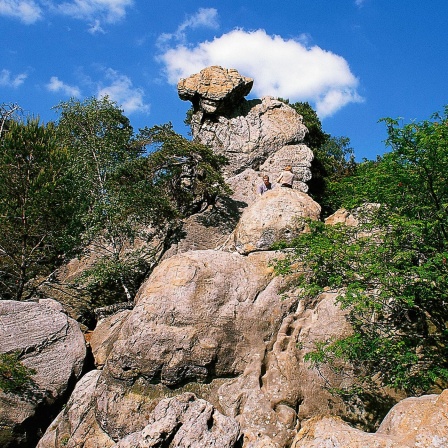 Das "Hockende Weib" in den Dörenther Klippen 