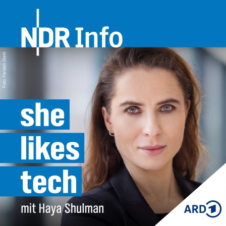 Ein Porträtbild von der Cyber-Ermittlerin und Kriminalistin Haya Schulmann.
