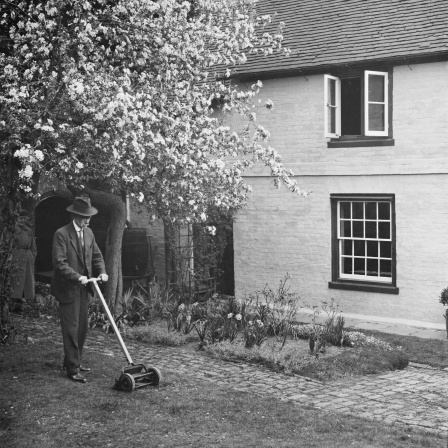 Ein älterer Mann schneidet seinen Rasen mit einem handbetriebenen Rasenmäher in Kent, England, am 7. April 1938: Ein bühender Baum im Hintergrund, der Mann trägt einen Bart, einen Anzug mit Hut und schiebt den Rasenmäher vor sich. Hinter ihm ist noch ein Haus zu sehen. Das Bild ist schwraz-weiß.