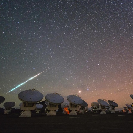 Sternschnuppe über der Teleskopanlage ALMA in Chile.