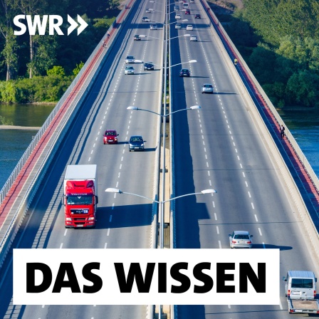 Mihajlo-Pupin-Brücke über die hier 730 m breite Donau zwischen zwei Stadtteilen der serbischen Hauptstadt Belgrad. Die Brücke wurde von China finanziert und gebaut. Im Zuge der &#034;Neuen Seidenstraße&#034; hat China in den letzten Jahren massiv investiert.