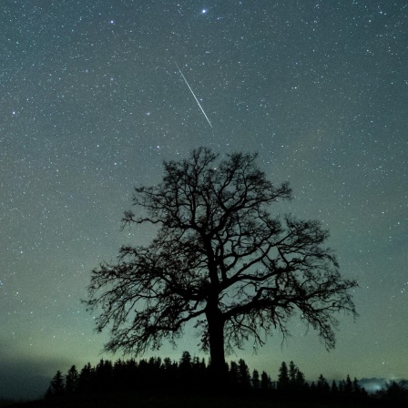 Sternschnuppen - Leuchtende Phänomene am Nachthimmel