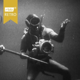Taucher fotografiert unter Wasser (Quelle: rbb)