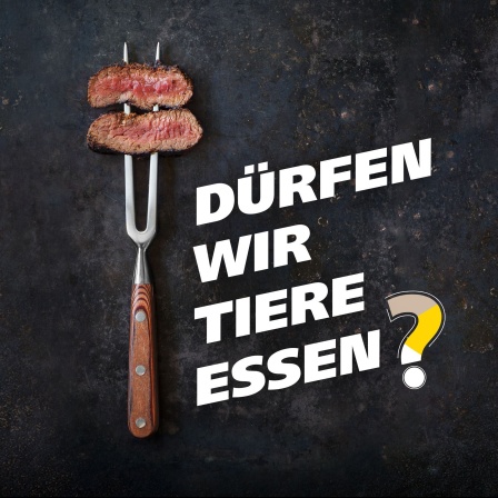 Eine Gabel mit zwei aufgespießten Fleischstücken vor schwarzem Hintergerund. Text: Dürfen wir Tiere essen?