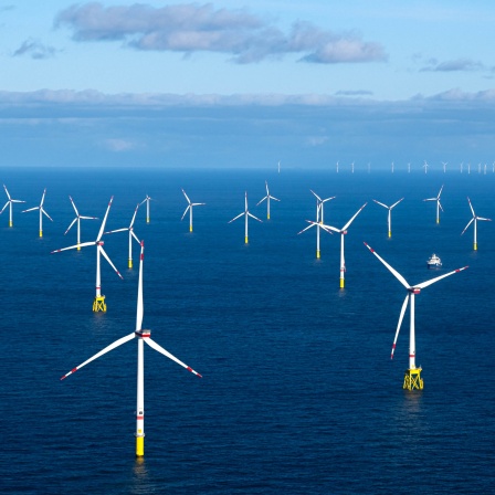 Der Offshore-Windpark Dolwin Alpha in der Nordsee.