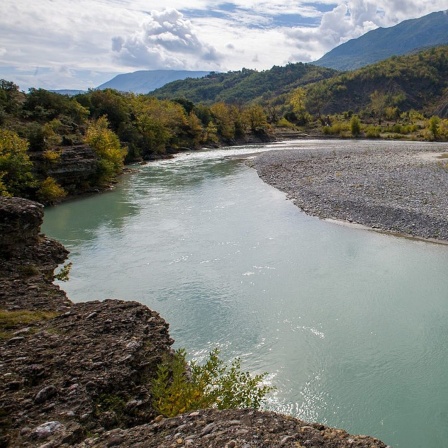Das grünblaue Wasser der Vjosa in einer Flußbiegung.