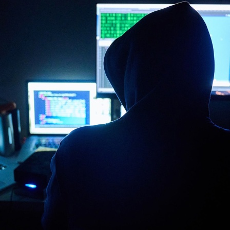 Fiktive html-Seiten und Hacker-Programme sind auf Bildschirmen zu sehen, während ein Mann seinen Hände auf der Tastatur hat. (Gestellte Szene/Themenbild).