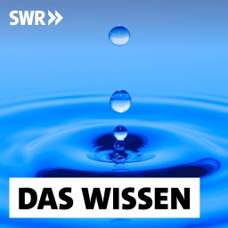 Ein Tropfen fällt ins Wasser. Die Physik hinter jedem Tropfen erforscht Anne Geppert.