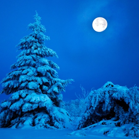 Verschneite Winterlandschaft am Kahlen Asten bei Vollmond