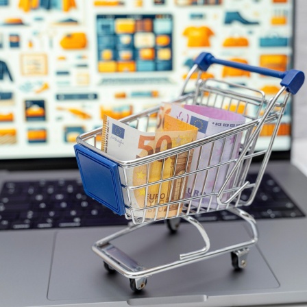 Ein Miniatur-Einkaufswagen mit Geldscheinen steht auf einem Laptop vor einem Internet Online-Shop