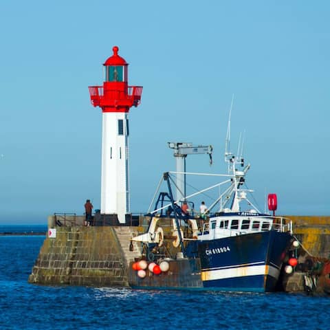 Blick auf die normannische Insel Tatihou (Foto: imago images / Andia)