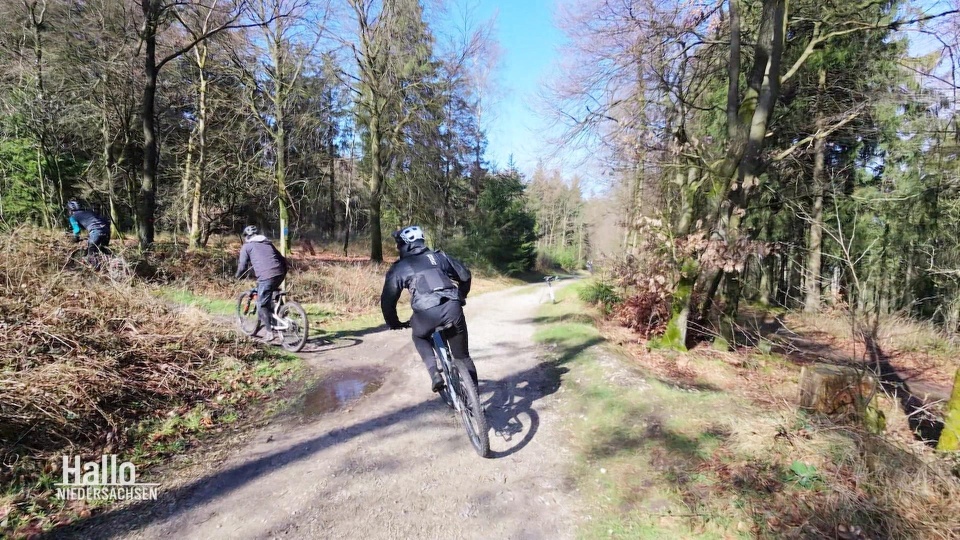 rennrad lenker endkappen Lenkerstopfen Lenkerenden für FairTeiler