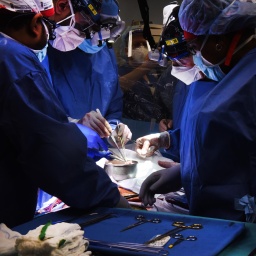 Auf diesem Foto, das von der University of Maryland School of Medicine zur Verfügung gestellt wurde, arbeitet ein Chirurgenteam daran, einem Patienten ein genmanipuliertes Schweineherz einzusetzen. 
