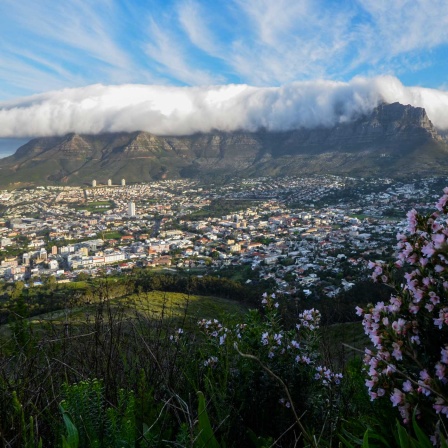 Tafelberg in Kapstadt, Südafrika Urlaub (Bild: dpa/ Lisa Burnell/ Cape Town Tourism)