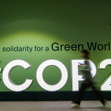 COP29