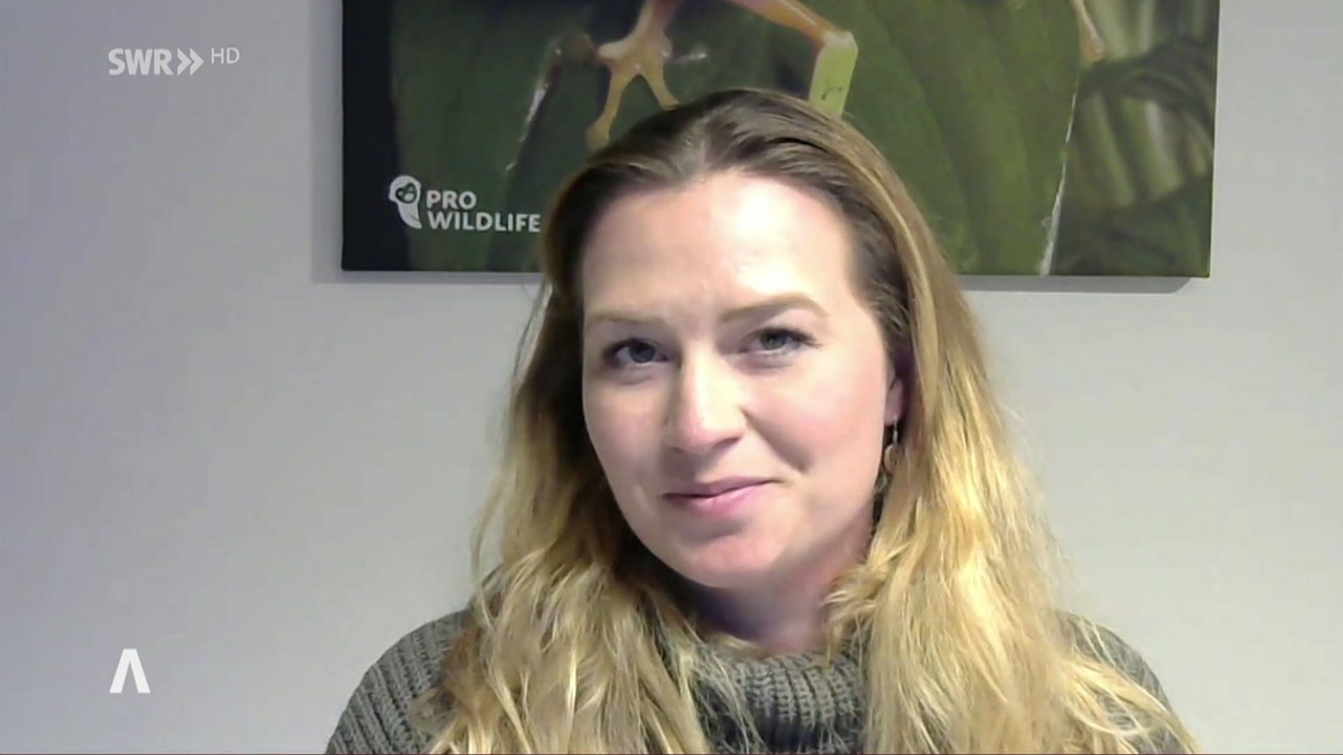 SWR Aktuell RheinlandPfalz 'Der Laie kann Wildtiere nicht artgerecht
