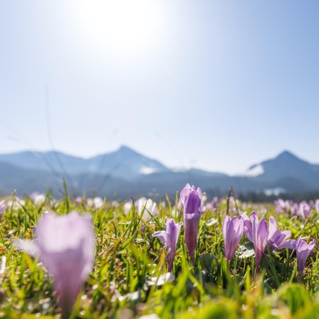 Natur - Konstrukt der Kultur