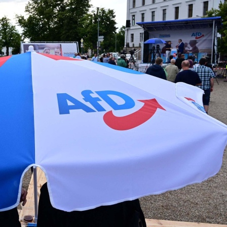 Afd-Wahlkampfveranstaltung in Schwerin im August 2021.